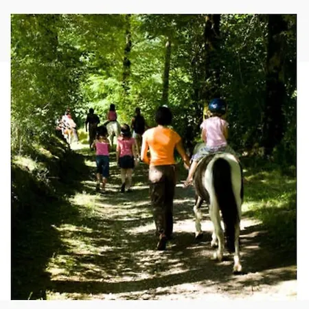 4-6 Pers Proche Centre Village Lejlighed *